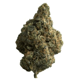 The Loud Plug Exotic Gas