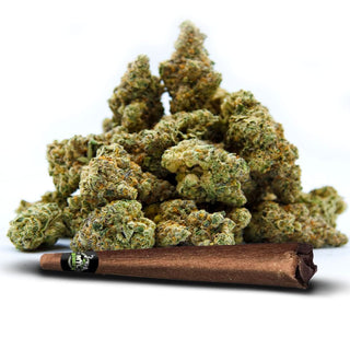 MTL Cannabis - Wes' Coast Kush Blunt