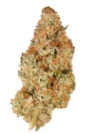 Simply Bare - BC Organic Pink Drip