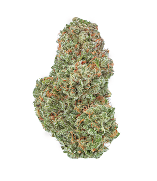 TGOD Organic Sugar Bush