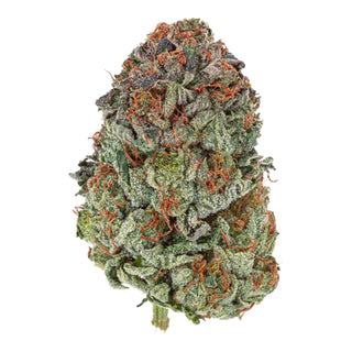 TGOD Organic Rockstar Tuna